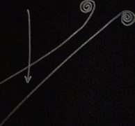 disegno dell'intenzione