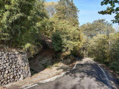 La stradina sterrata che conduce allo studio