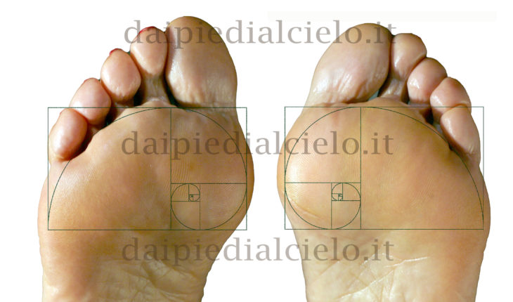 La spirale aurea di Fibonacci coincide con la linea delle dita nel metatarso del piede