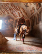 cavaliere templare a cavallo