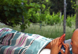 Trattamento di riflessologia plantare sui Colli Euganei