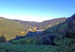 Val Liona